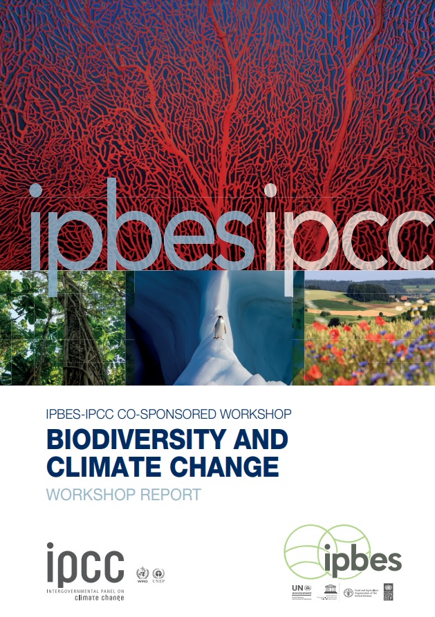 Report of the Workshop on Climate Change and Biodiversity co-sponsored by IPBES-IPCC